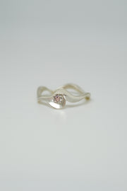 Et lysende Bølgeskvulp